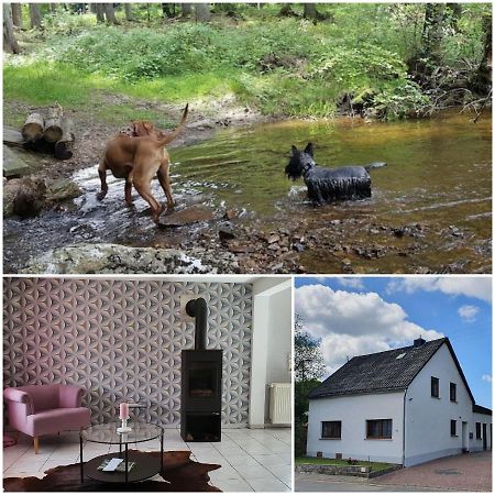 Nationalpark Ferienhaus Sophia-Luisa Borfink Εξωτερικό φωτογραφία