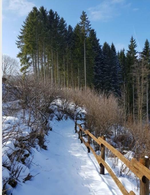 Nationalpark Ferienhaus Sophia-Luisa Borfink Εξωτερικό φωτογραφία